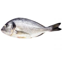 Риба Дорадо 300-400г охолоджена 