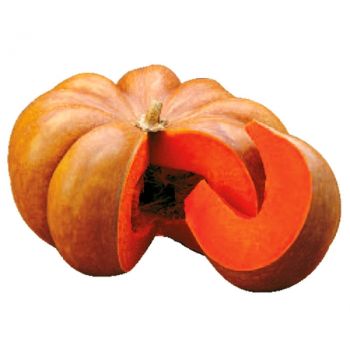 Гарбуз домашній